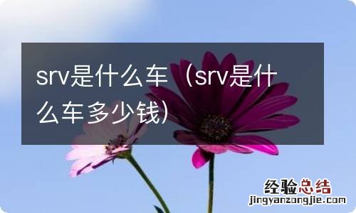 srv是什么车多少钱 srv是什么车