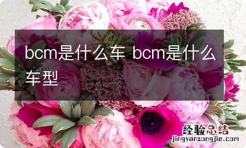 bcm是什么车 bcm是什么车型