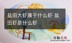 盐田大虾属于什么虾 盐田虾是什么虾