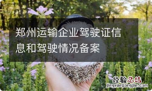 郑州运输企业驾驶证信息和驾驶情况备案