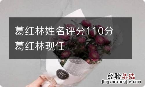 葛红林姓名评分110分 葛红林现任