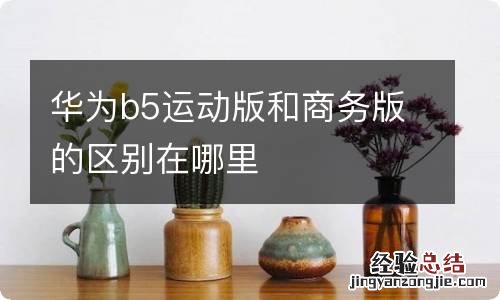 华为b5运动版和商务版的区别在哪里