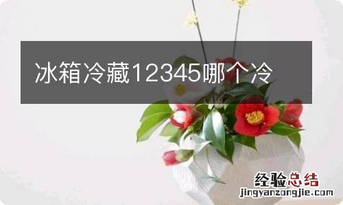 冰箱冷藏12345哪个冷