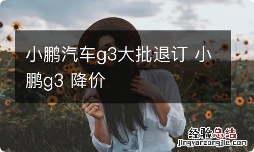 小鹏汽车g3大批退订 小鹏g3 降价