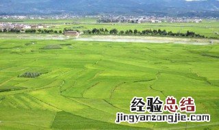 什么是农业用地 什么是农业用地指标