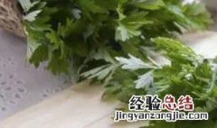 艾叶能吃吗 可食用可药用小小一片作用多