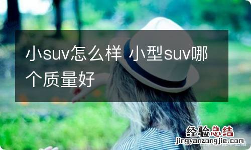 小suv怎么样 小型suv哪个质量好