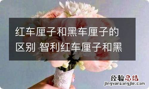 红车厘子和黑车厘子的区别 智利红车厘子和黑车厘子的区别