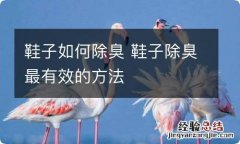 鞋子如何除臭 鞋子除臭最有效的方法