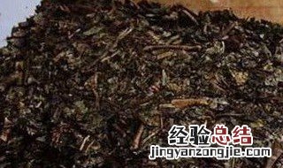 青砖茶存储方法 怎么存放茶