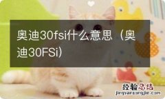 奥迪30FSi 奥迪30fsi什么意思