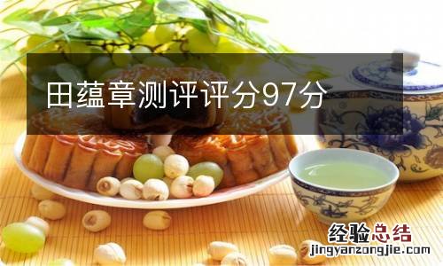 田蕴章测评评分97分