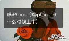 曝iphone16什么时候上市 曝iPhone