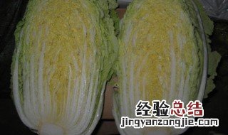 白菜冷藏方法 白菜冷藏方法是什么