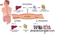 身体排毒最有效的方法 水泡是身体排毒最有效的方法