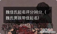 魏氏男孩带佳起名 魏佳氏起名评分98分