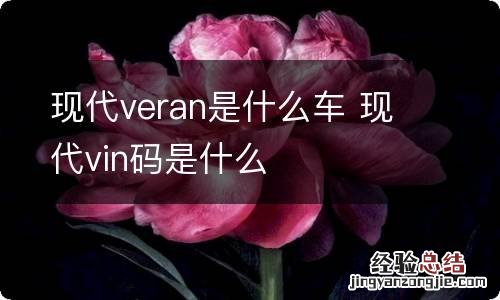 现代veran是什么车 现代vin码是什么