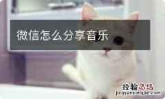 微信怎么分享音乐