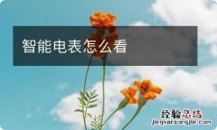 智能电表怎么看