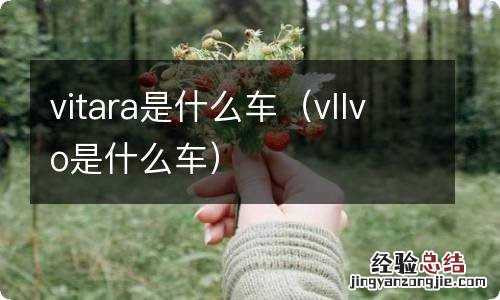 vllvo是什么车 vitara是什么车