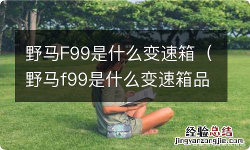 野马f99是什么变速箱品牌 野马F99是什么变速箱