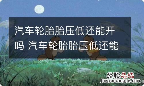 汽车轮胎胎压低还能开吗 汽车轮胎胎压低还能开吗视频