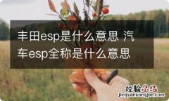 丰田esp是什么意思 汽车esp全称是什么意思