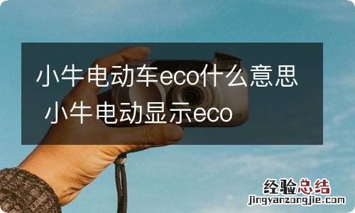 小牛电动车eco什么意思 小牛电动显示eco