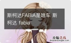 斯柯达FABIA是啥车 斯柯达 fabia