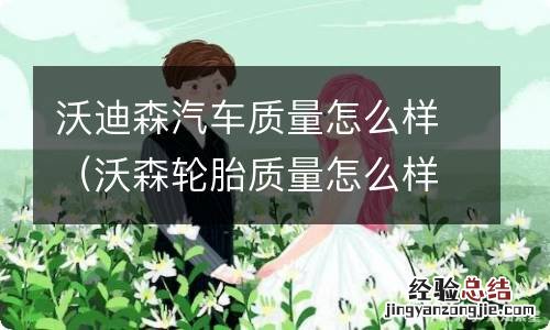 沃森轮胎质量怎么样 沃迪森汽车质量怎么样