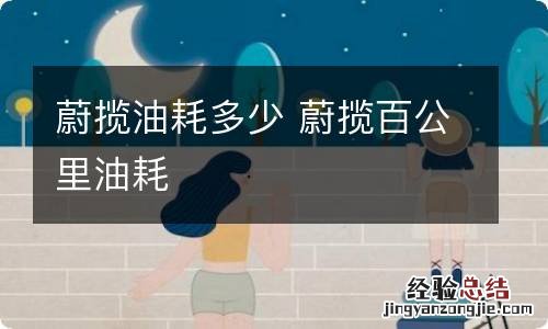 蔚揽油耗多少 蔚揽百公里油耗