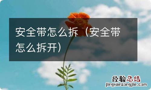 安全带怎么拆开 安全带怎么拆