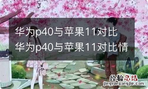 华为p40与苹果11对比 华为p40与苹果11对比情况