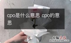 cpo是什么意思 cpo的意思