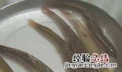 泥鳅怎么处理 怎么处理泥鳅