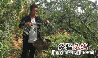 人穷志不穷的激励句子 人穷志不穷的激励句子集锦
