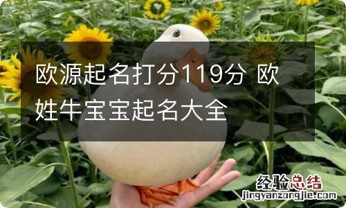 欧源起名打分119分 欧姓牛宝宝起名大全