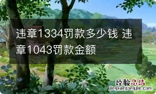 違章1334罰款多少錢 违章1043罚款金额