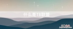 什么是TB联盟