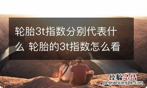 轮胎3t指数分别代表什么 轮胎的3t指数怎么看