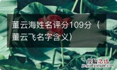 董云飞名字含义 董云海姓名评分109分