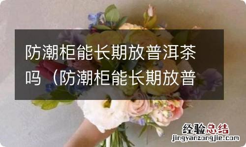 防潮柜能长期放普洱茶吗知乎 防潮柜能长期放普洱茶吗