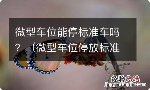 微型车位停放标准车违法吗 微型车位能停标准车吗？