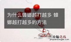 为什么蟑螂越打越多 蟑螂越打越多的方法