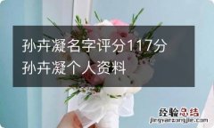 孙卉凝名字评分117分 孙卉凝个人资料