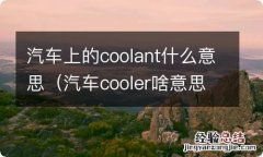 汽车cooler啥意思 汽车上的coolant什么意思