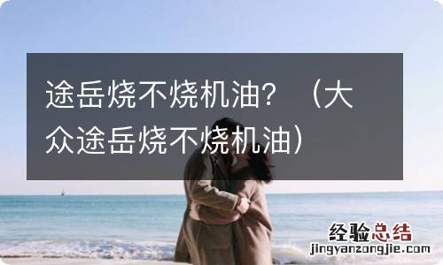 大众途岳烧不烧机油 途岳烧不烧机油？