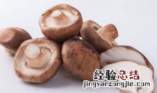 冬菇的营养价值有哪些 冬菇的营养价值