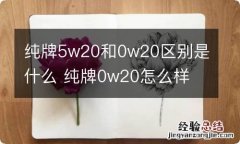 纯牌5w20和0w20区别是什么 纯牌0w20怎么样