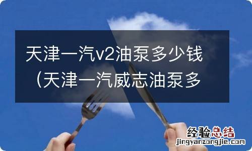天津一汽威志油泵多少钱 天津一汽v2油泵多少钱